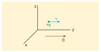 Lorentz Force: Solved Example Problems - Physics