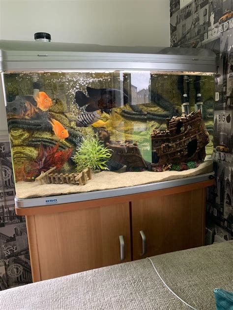 Fish Tanks For Sale Vanderbijlpark - fisherjullla