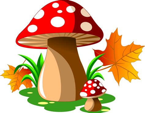 Mushroom clipart mushroom tree, Mushroom mushroom tree Transparent FREE ...