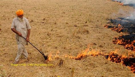 Problems of Stubble Burning: Solutions Galore - Delhi Post