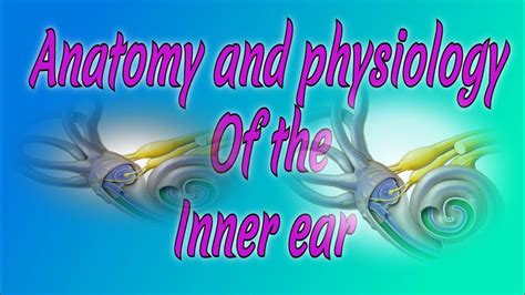 STRUCTURE OF INNER EAR,ANATOMY AND PHYSIOLOGY OF THE INNER EAR, PART-3, GMM AND BSC NURSING ...