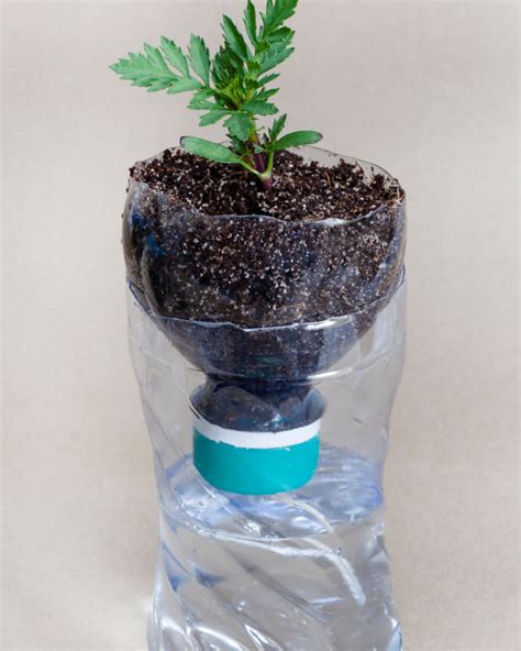 How to Make Your Own Self-Watering Herb Planter