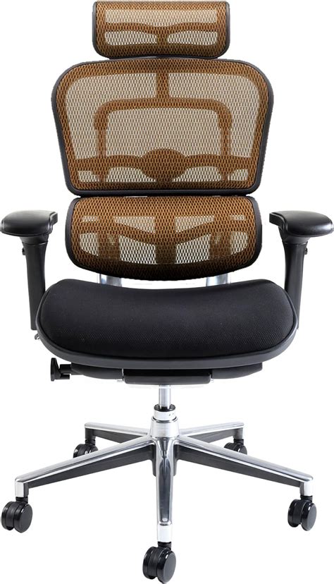 Amazon.com: Ergo Human Basic EH-HBM KM-13 Office Chair with Headrest ...