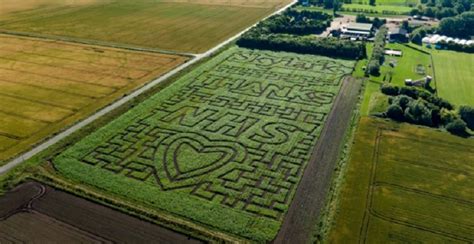 Skylark Garden Centre tribute to NHS heroes and carers - GCR