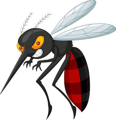 Mosquito Cartoon Vector Art, Icons, and Graphics for Free Download