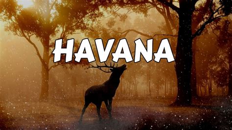 Havana - Camila Cabello, Young Thug [Lyrics Video] - YouTube