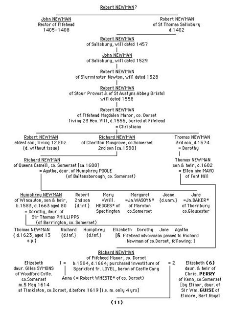 Genealogy 10- Newman