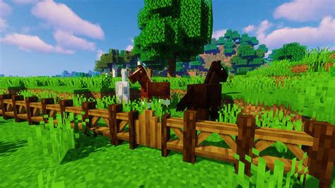 More Decorations [FORGE] - QUALITY UPDATE! - Minecraft Modpacks - CurseForge