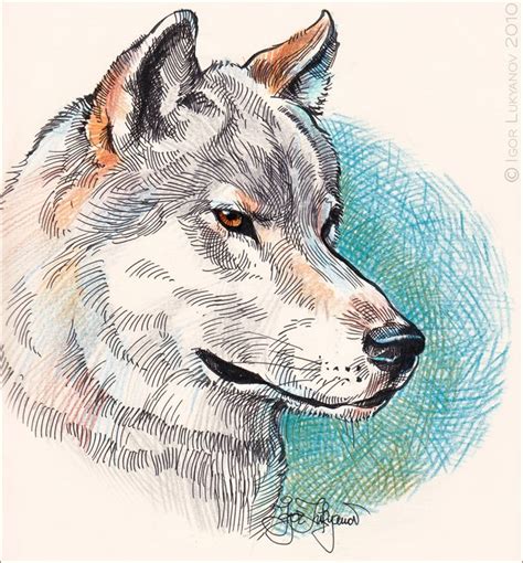 17 Best images about wolf drawings on Pinterest | Wall decor, Cute wolf drawings and Furries