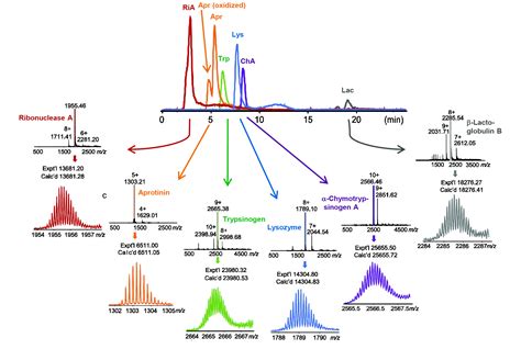 HIC-MS for Top Down Proteomics.