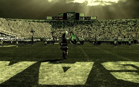 Cool MSU Football Wallpaper