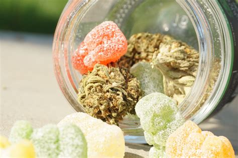 What are Marijuana Edibles and their types? Everything you Need to Know