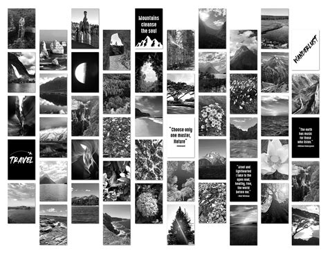 Buy Focus and Zeal Black and White Wall Collage Kit, Aesthetic Pictures, Pictures for Wall Decor ...