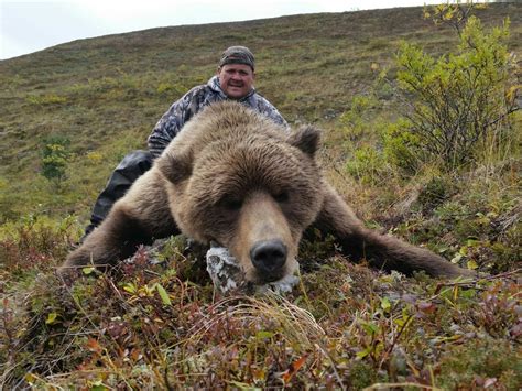 Guided Alaska Grizzly Bear Hunt