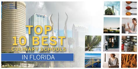 Top 10 Best Culinary Schools in Florida 2021 - Best Choice Schools