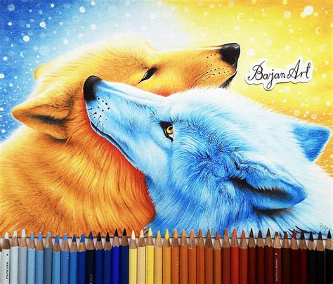 Colorful Wolf Drawings