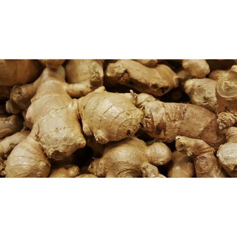 Jual Jahe Putih / Ginger (250 gram) | Shopee Indonesia