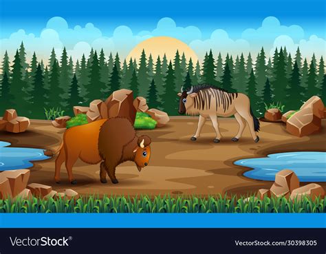 Cartoon animals in dry land Royalty Free Vector Image