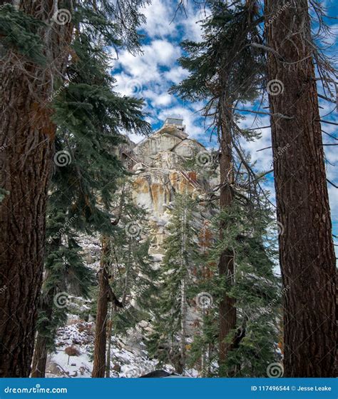 A Fire Lookout Seen through the Forest Stock Photo - Image of ...