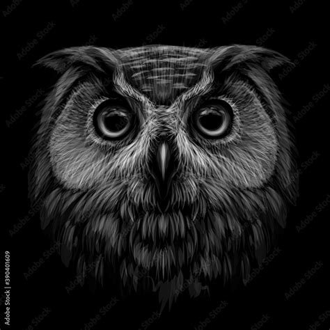 Black Owl Drawing