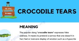 Crocodile Tears: Definition, Origin & Practical Examples in English - English Study Online