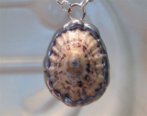 Limpet Sea Shell Necklace Soldered Shell Pendant Christmas - Etsy