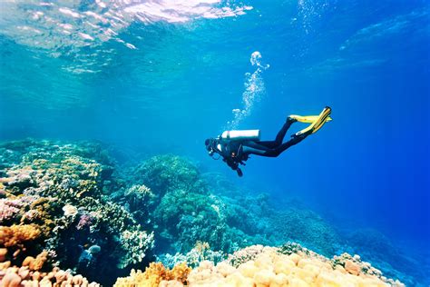 6 Best Places for Scuba Diving in Andaman (2019) - The Land of Beauty