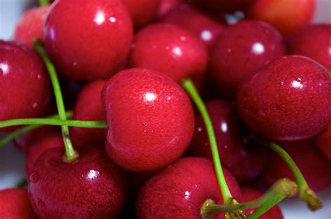 File:Cherry fruit 01.jpg - Wikimedia Commons