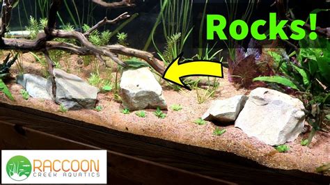 How To Make Rocks Safe For Aquarium - Aquarium Views