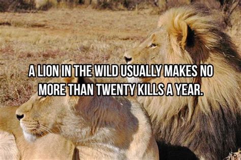 20 Wildly Random Animal Facts - Barnorama