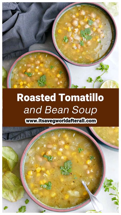 Roasted Tomatillo Soup (Vegetarian) - It's a Veg World After All®