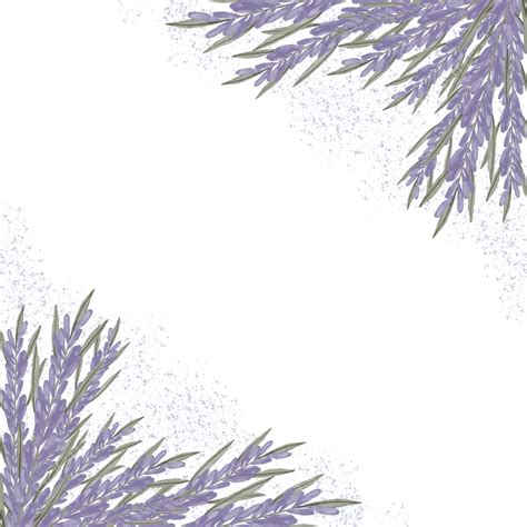 Beautiful Lavender PNG Picture, Beautiful Lavender Corner Frame, Lavender, Flower, Frame PNG ...