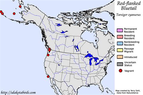 Red-flanked Bluetail - Species Range Map