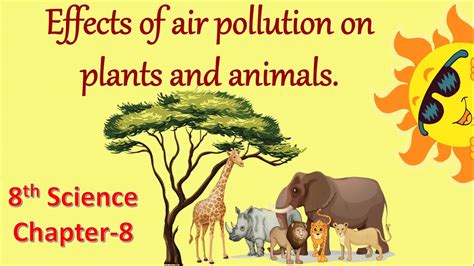 Effects Of Air Pollution On Plants Animals And Humans