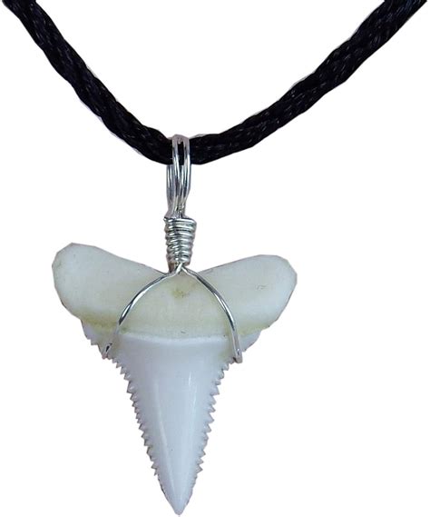 GemShark Real Shark Tooth Necklace 0.8 inch (Great White, Charm Pendant for Boys Girls Unisex ...