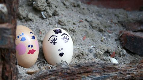 Download Funny Egg HD Wallpaper