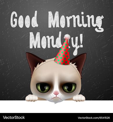 Good morning monday with cute grumpy cat Vector Image