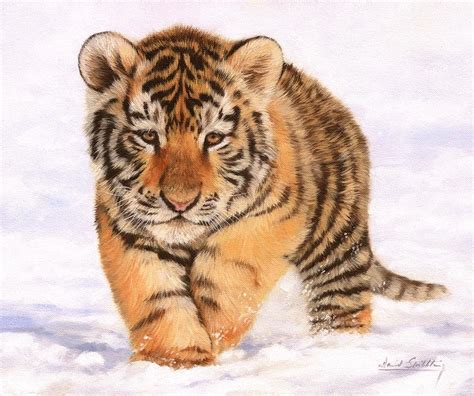 Tiger Cub In Snow Painting Painting by David Stribbling