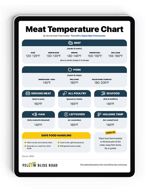 Magnetic Meat Temperature Guide | lupon.gov.ph