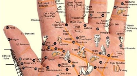 Acupressure Points on Hand for Pain Relief | Acupressure Points