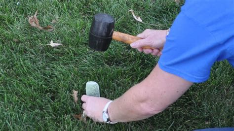 How to Fertilize Trees and Shrubs - Grass Pad