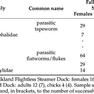 Differences in diet composition between Falkland Flightless Steamer ...