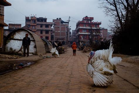 Nepal | Shivaratri | Kathmandu | Photography Workshop | Mar 2024