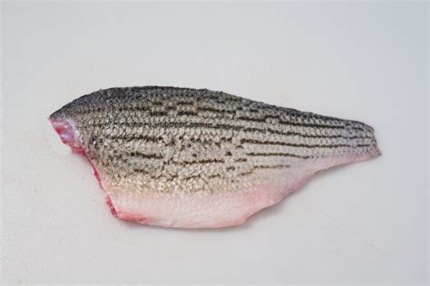 Fresh Hybrid Striped Bass (Fillet) – Chef's Fresh Fish