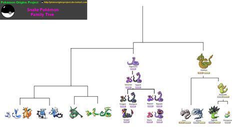 Snake Pokemon Family Tree by PkmnOriginsProject on DeviantArt