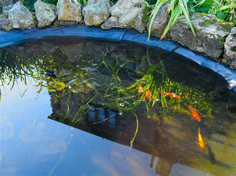 How to build a pond using pond liner - Stodels