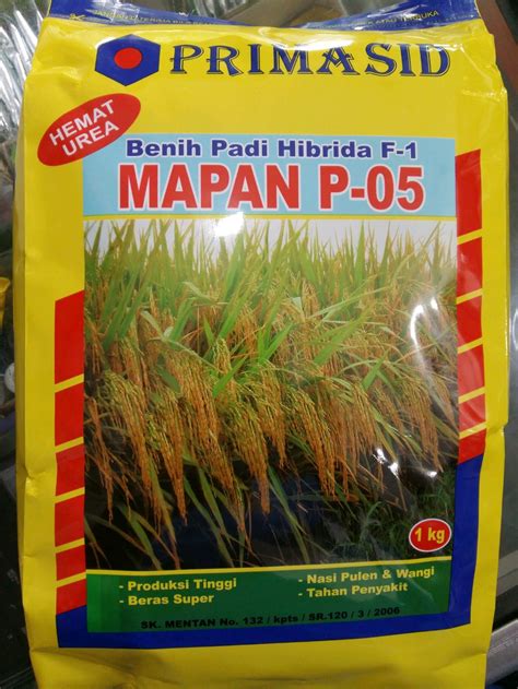 Benih Padi Hibrida Mapan P-05