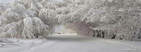 Winter Road ~ Facebook Cover | Winter cover photos, Winter facebook covers, Winter scenes