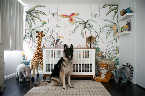 +18 Safari Wallpaper Nursery Ideas