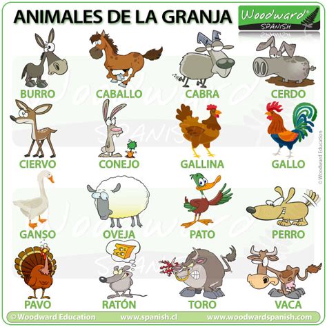 Animales de la granja en español- Farm animals in Spanish - Vocabulario